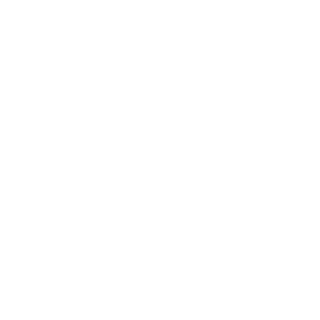 diplomat-logo-02